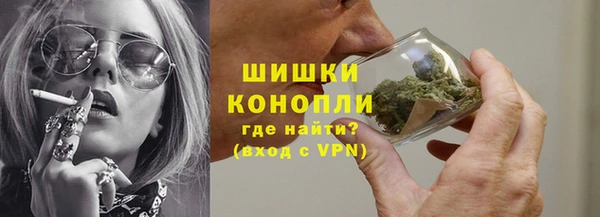 PSILOCYBIN Богданович