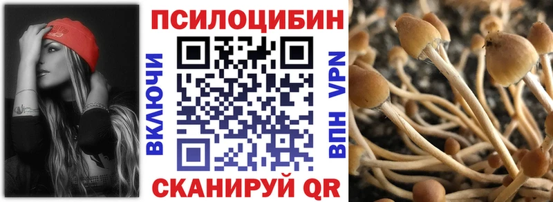 цены   Богородицк  Галлюциногенные грибы мухоморы 