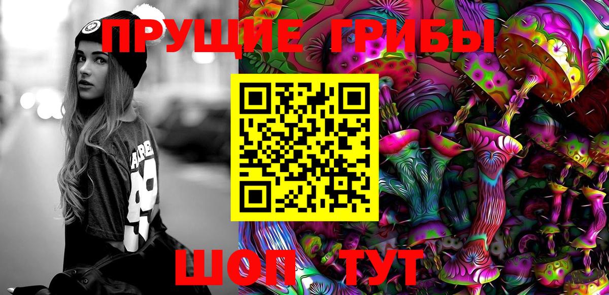 Богородицк  Галлюциногенные грибы GOLDEN TEACHER  купить  цена  Вход с VPN 